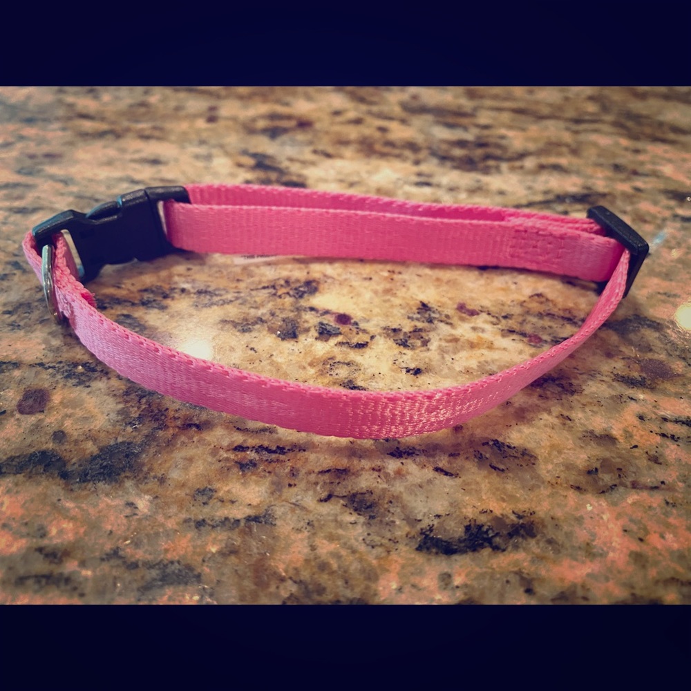 Xsmall dog collar